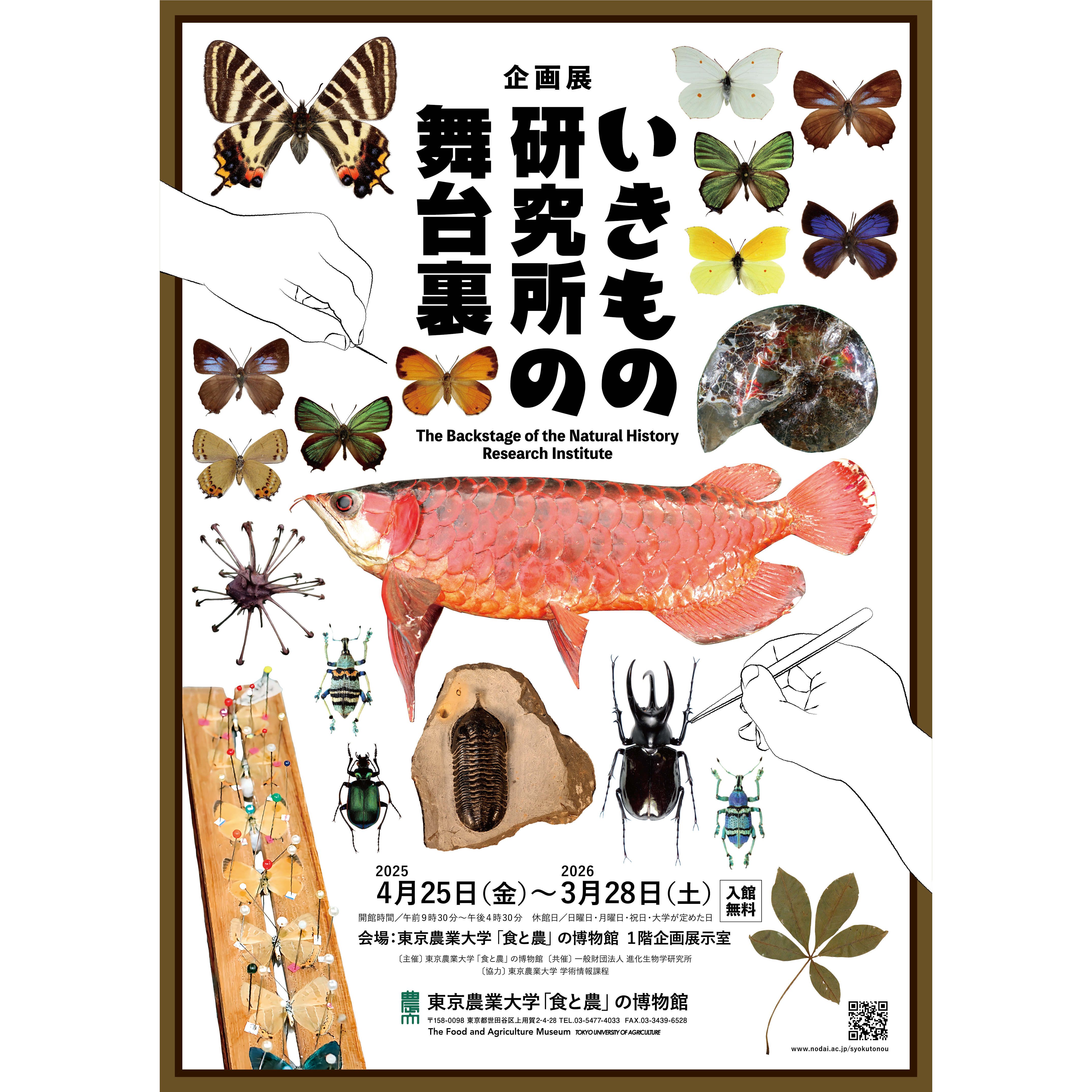 学校法人東京農業大学